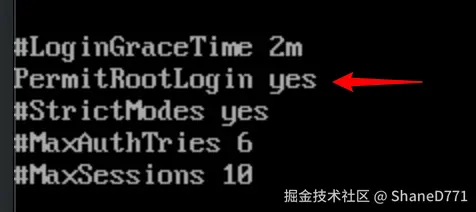 image-20251203165242223