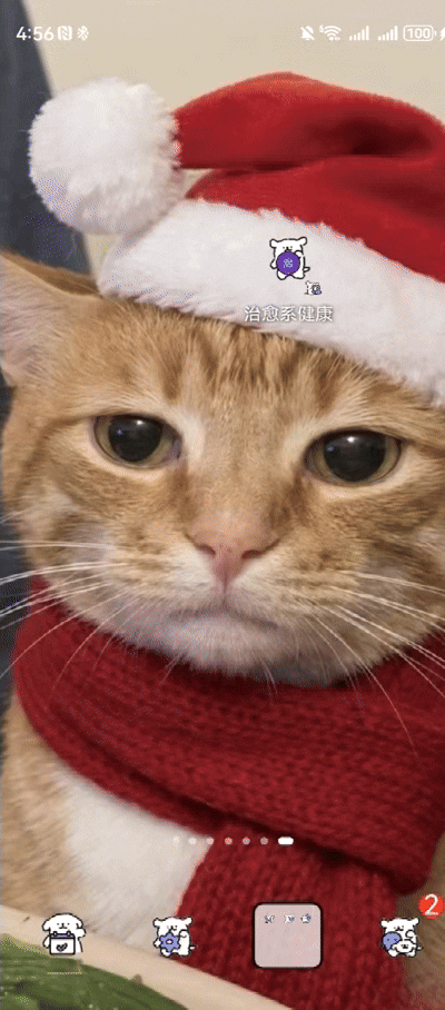 录屏.gif