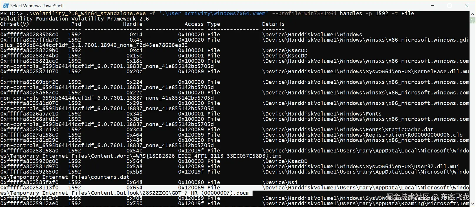 图 4.8 – Volatility 句柄