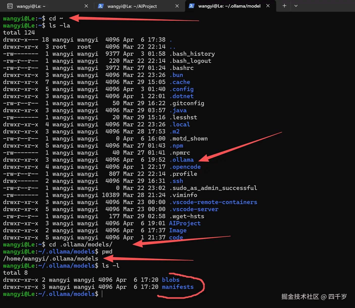 本地大模型的安装目录