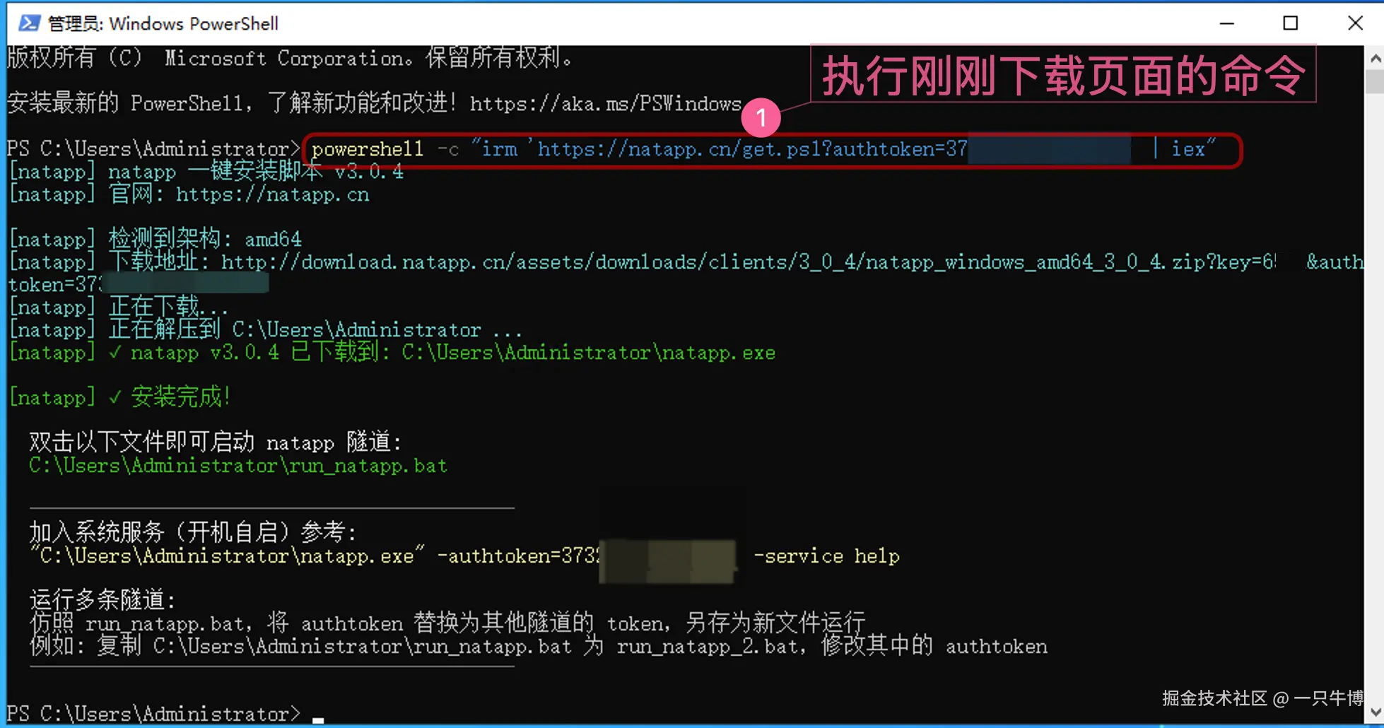 在公司电脑上下载并运行 Natapp 客户端