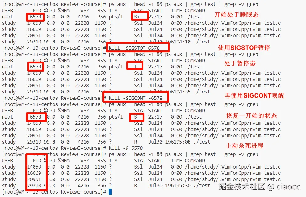 image-20231213222534884