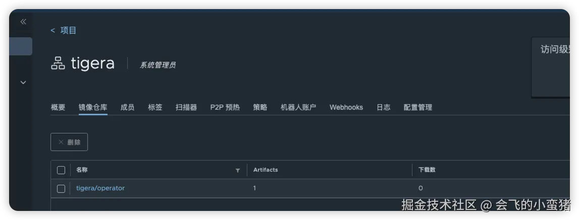 image-20251111163824217