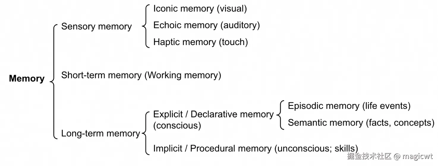 图15 人类记忆的分类