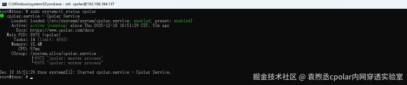 image-20251218165228464
