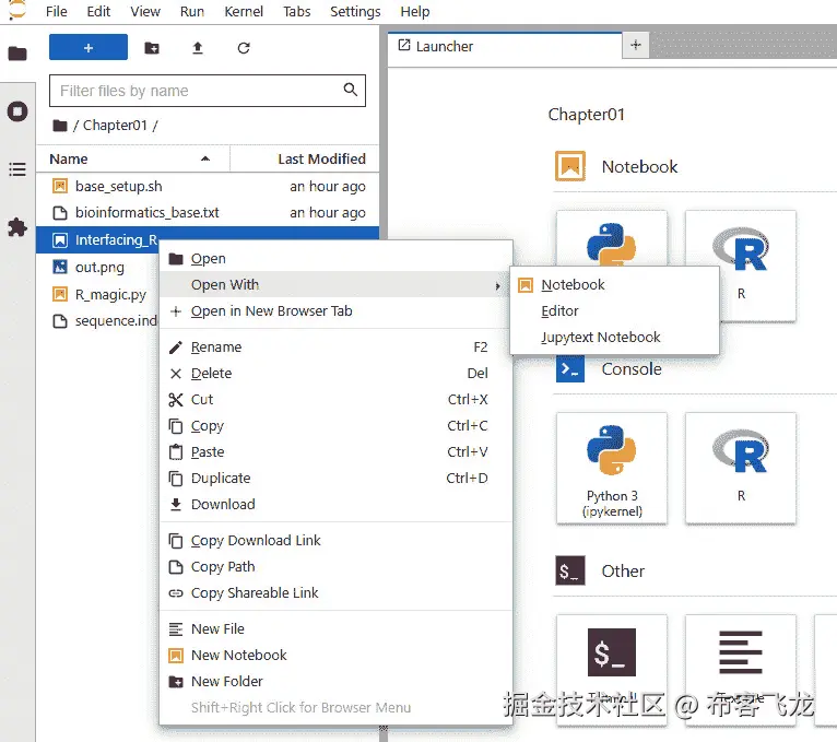 图 1.2 – 在 Notebook 中打开 jupytext 文件