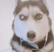 请在此添加图片描述