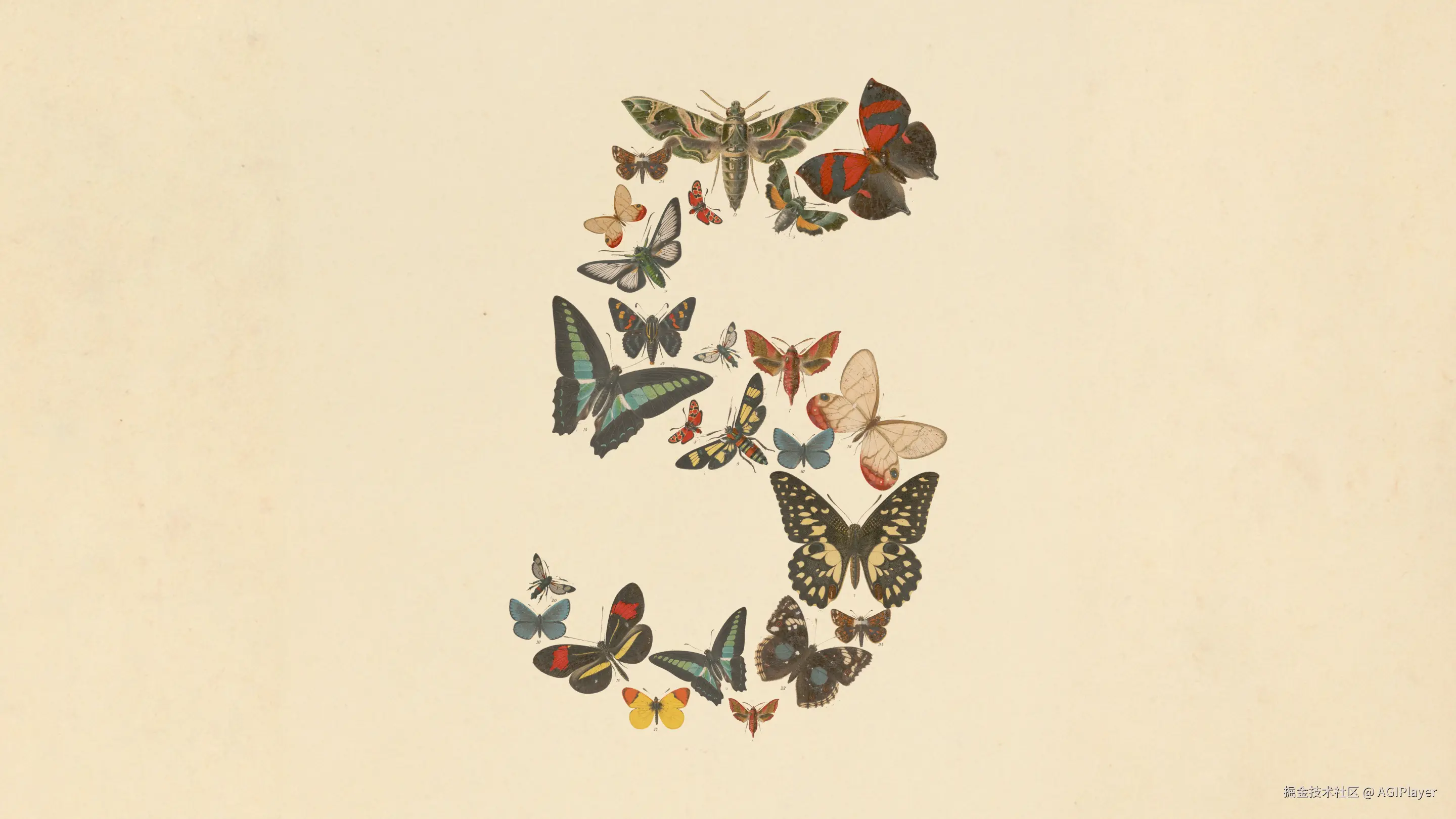 Claude Fable 5 official key visual—a "5" formed by butterflies
