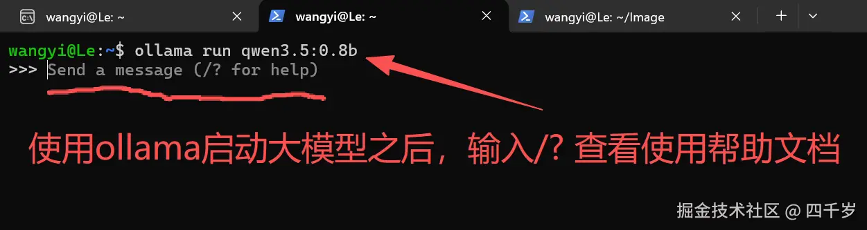 大模型的说明文档