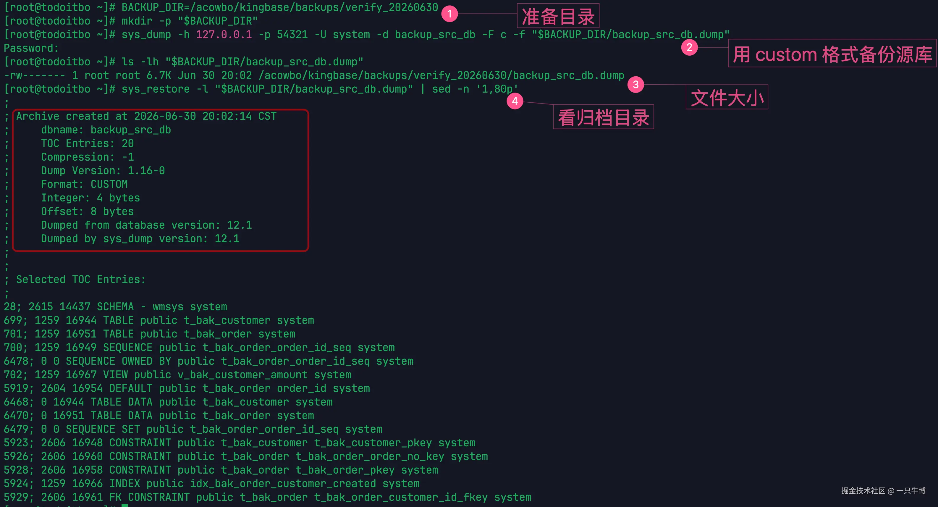 Generate backup file and view archive contents