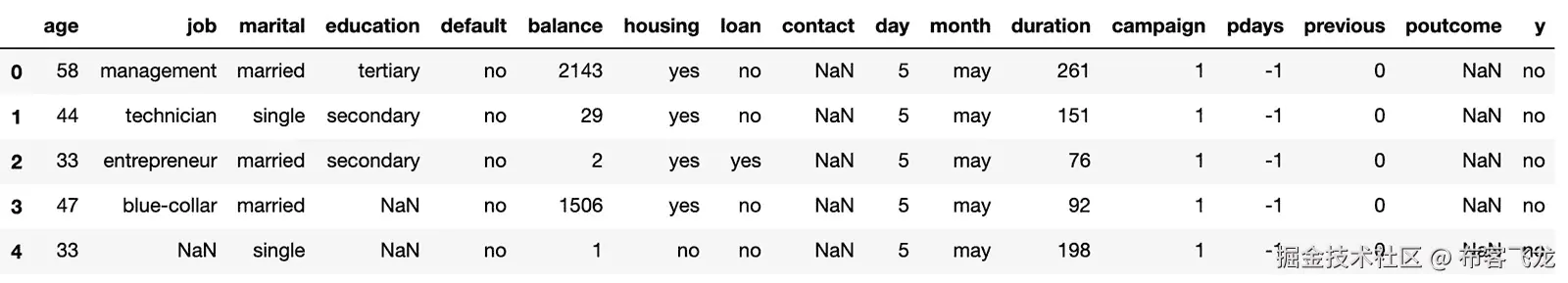 图 6.4：替换未知值后，.csv 文件的数据截图    