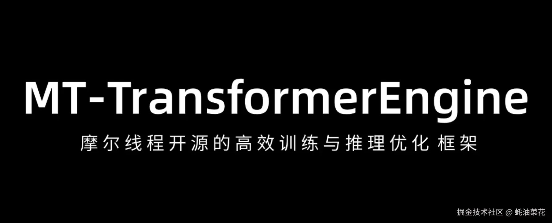 MT-TransformerEngine