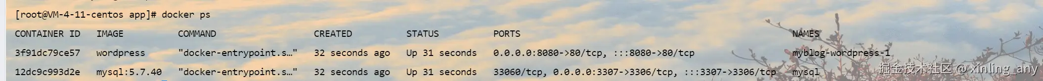 image-20240823152253765