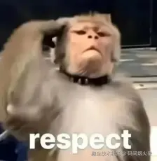 image-20250125113253432