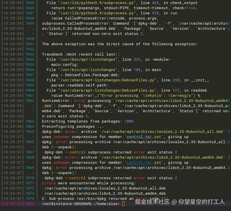 image-20250206155552129