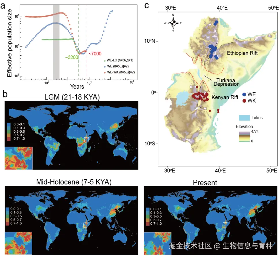 Xu W, Wu D, Yang T, et al. Genomic insights into the origin, domestication and genetic basis of agronomic traits of castor bean. Genome Biol. 2021;22(1):113.