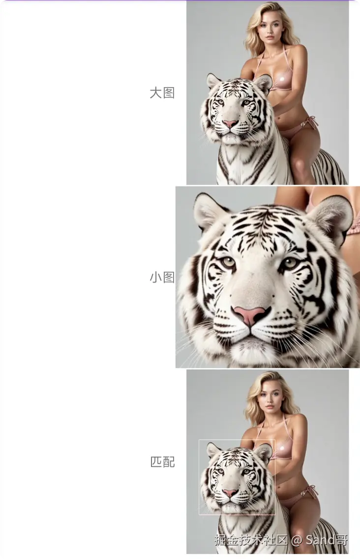 template_match.png