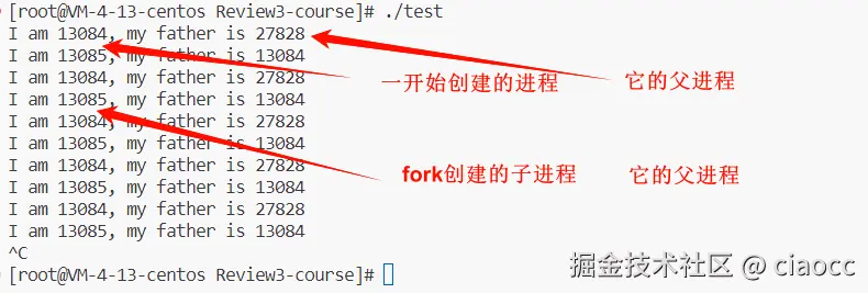 image-20231209164901300