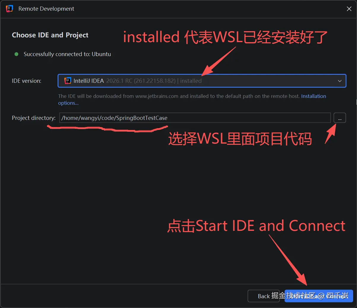 IDEA 服务端程序已安装成功