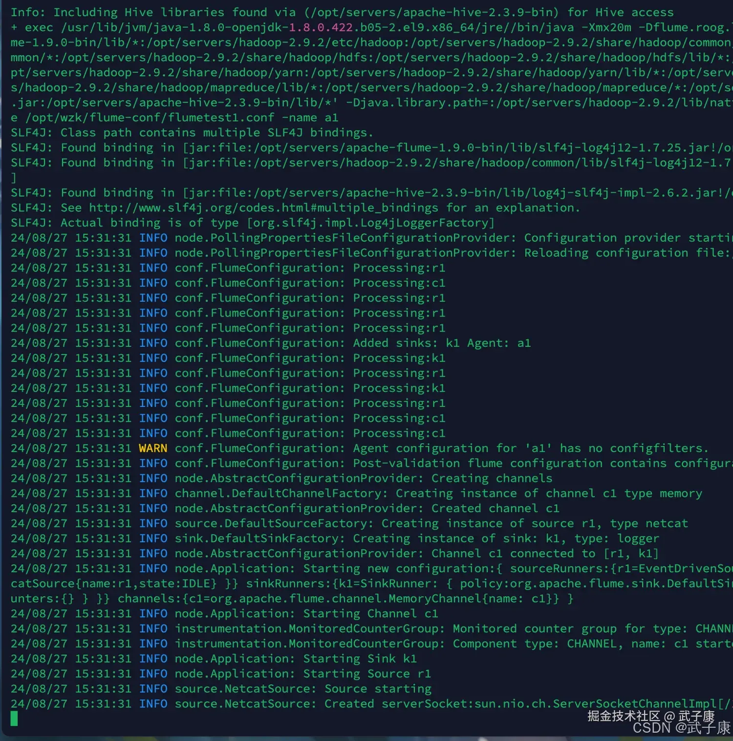 离线数仓 Flume启动