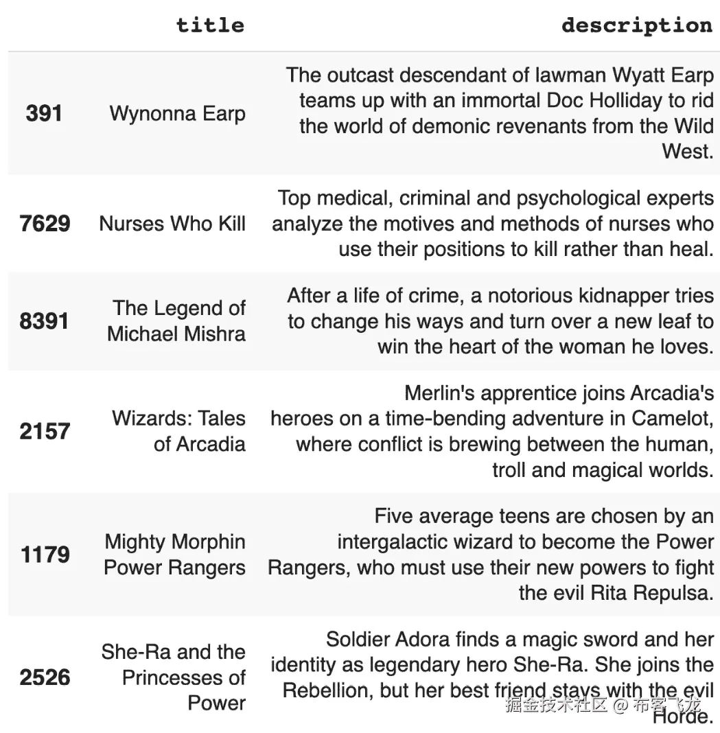 图 5.1 – Netflix 电影描述