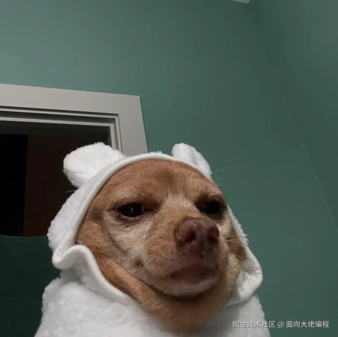 微信图片_20241216150701.jpg