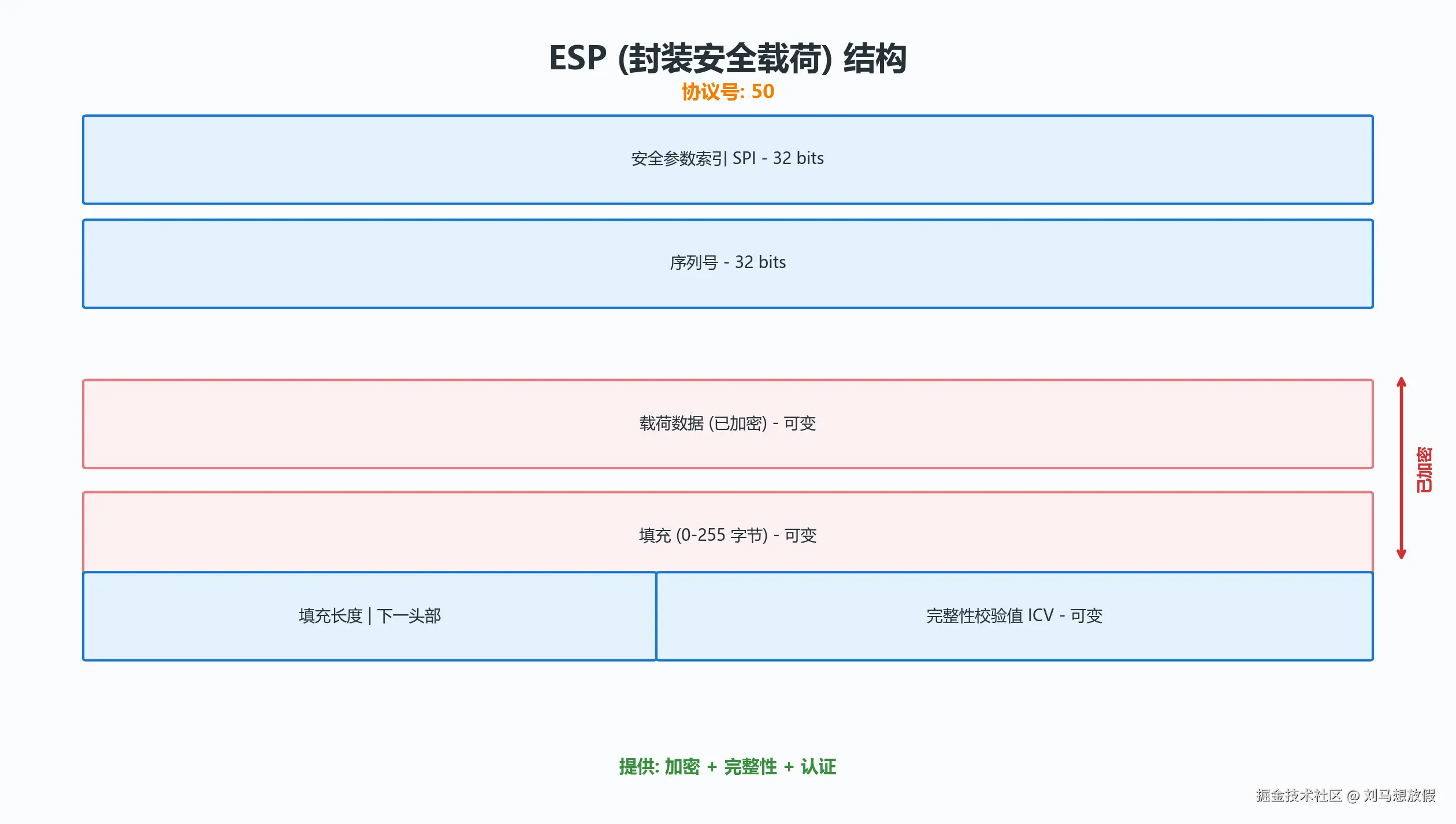 ESP 头部结构