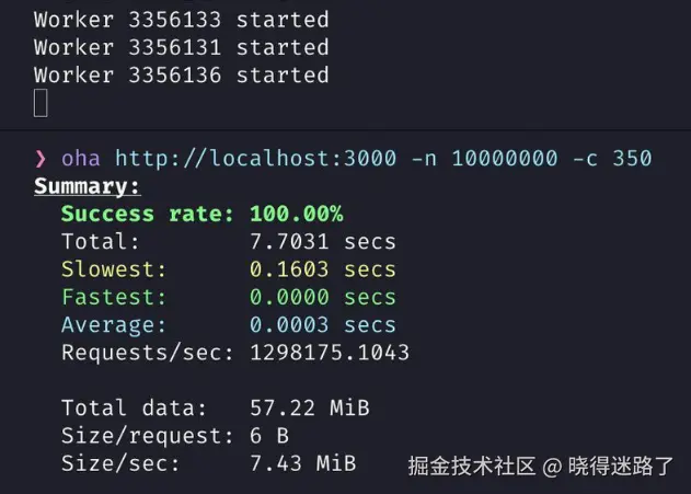 image-20240825095952844