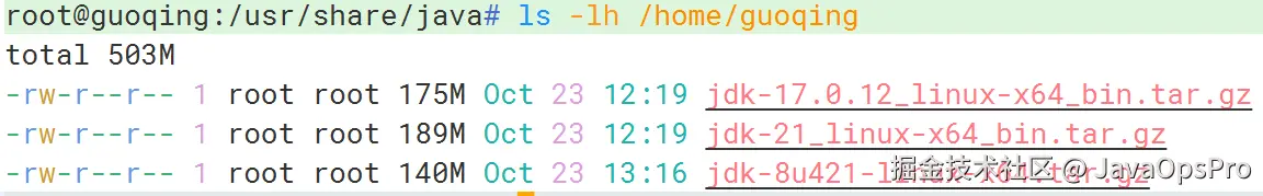 image-20241023211739238