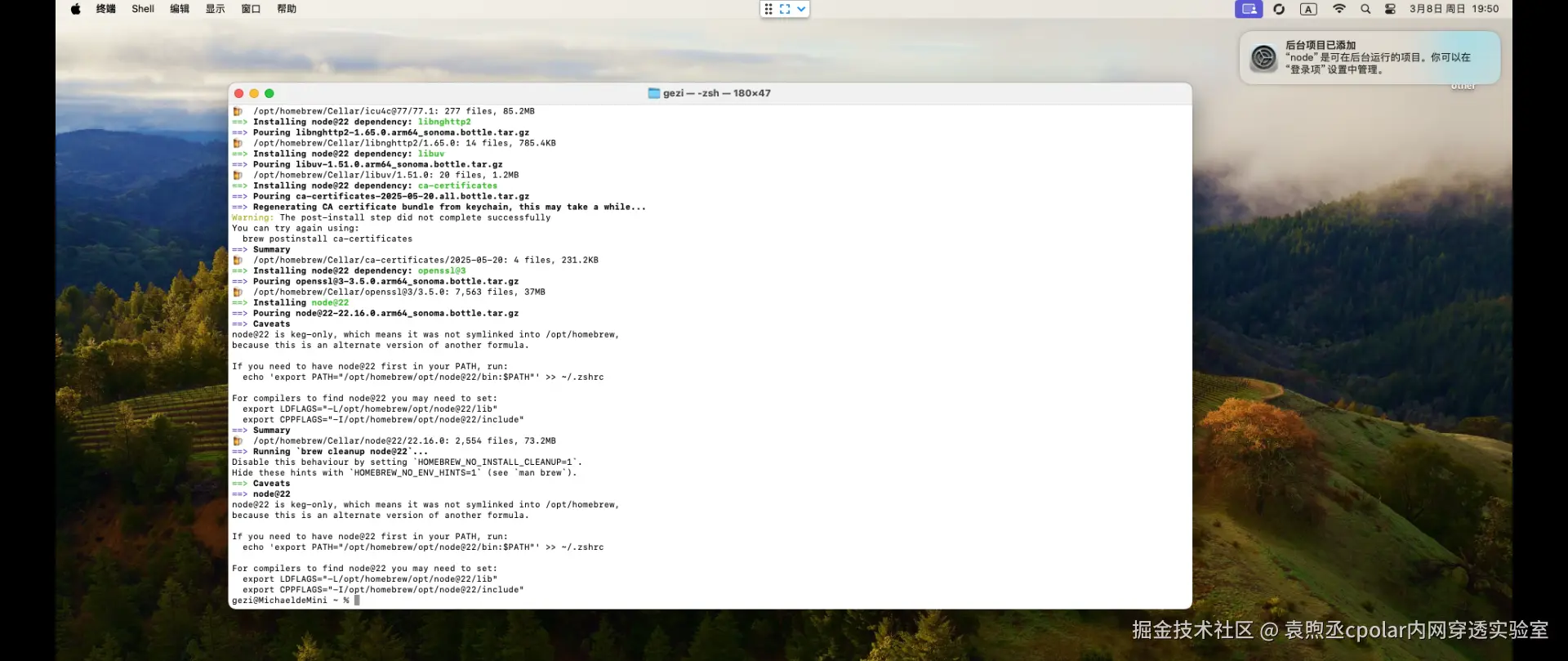 image-20260308195111231