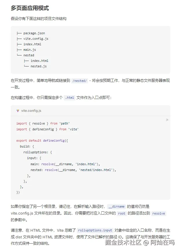 屏幕截图_11-1-2025_164129_cn.vite.dev.jpeg