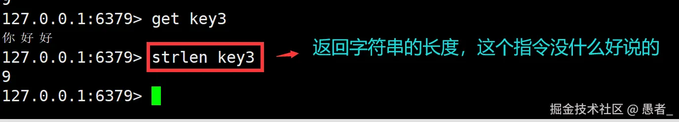 image-20240702144307048