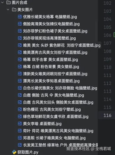 下载成功的图片