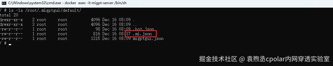 image-20251216163950482