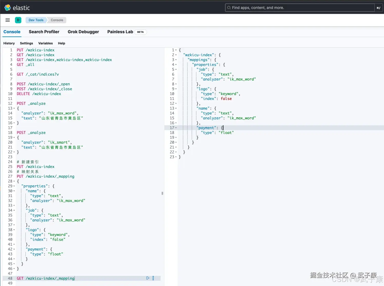 Elasticsearch 查看映射关系