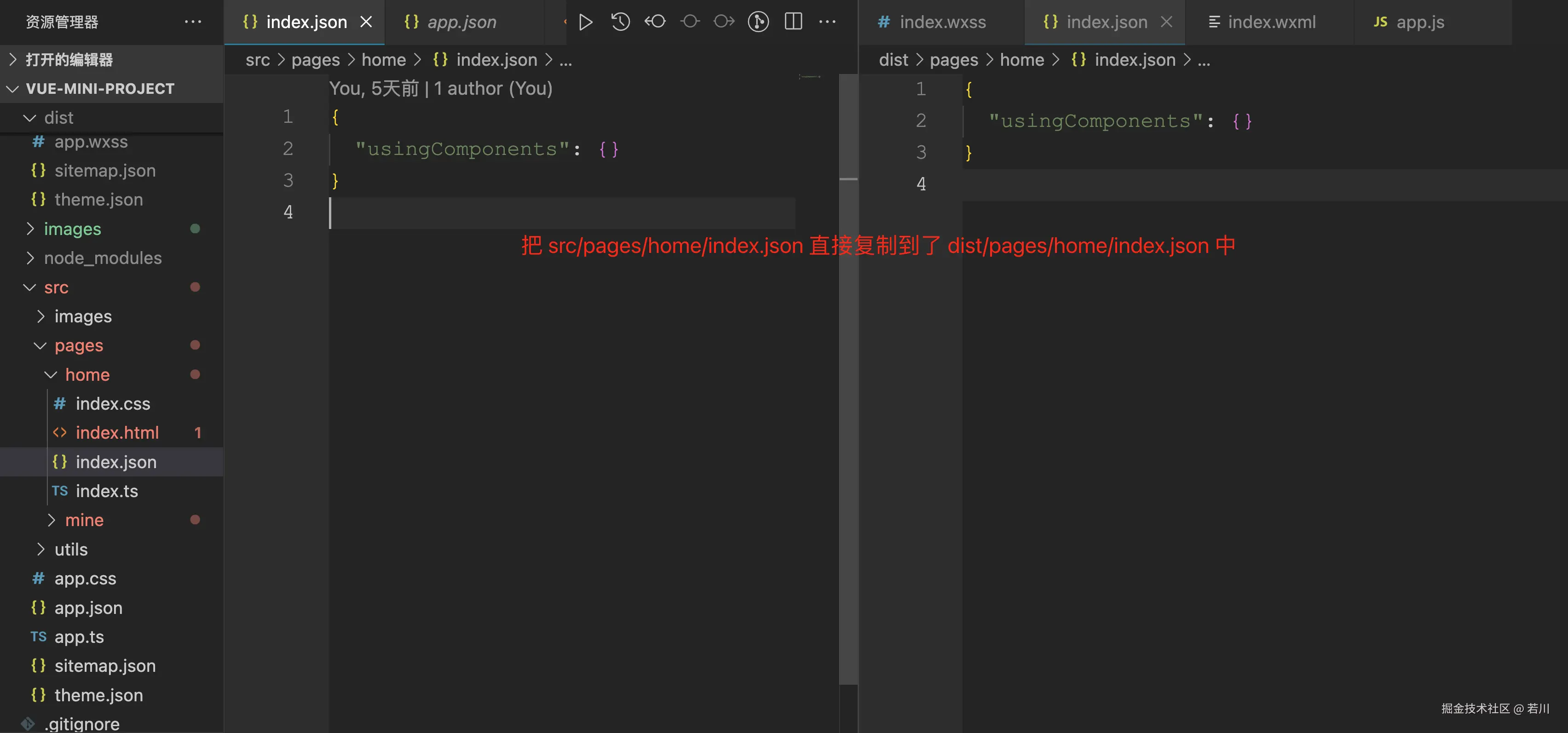 首页 json 文件