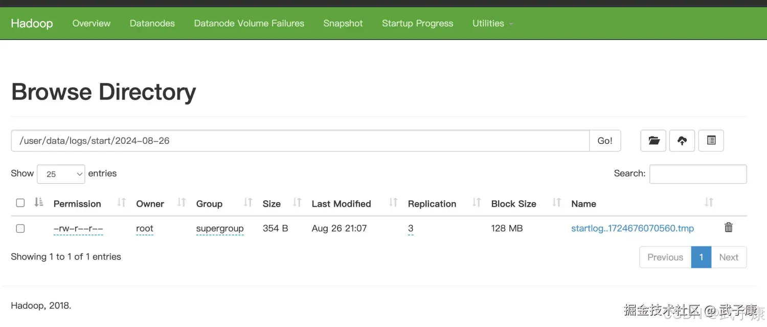 离线数仓 HDFS 内容