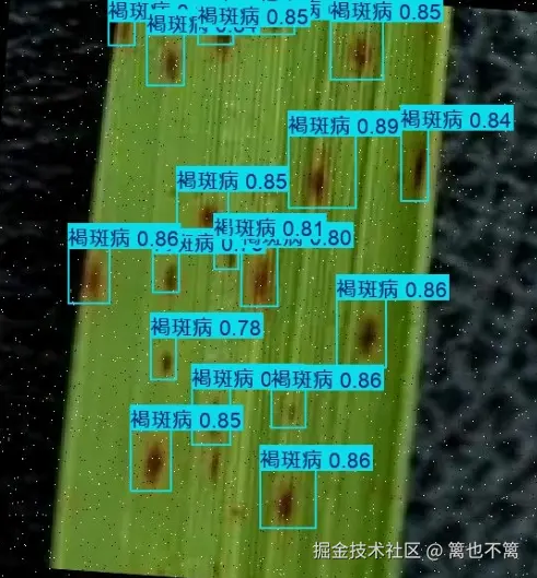 image-20251109141552945
