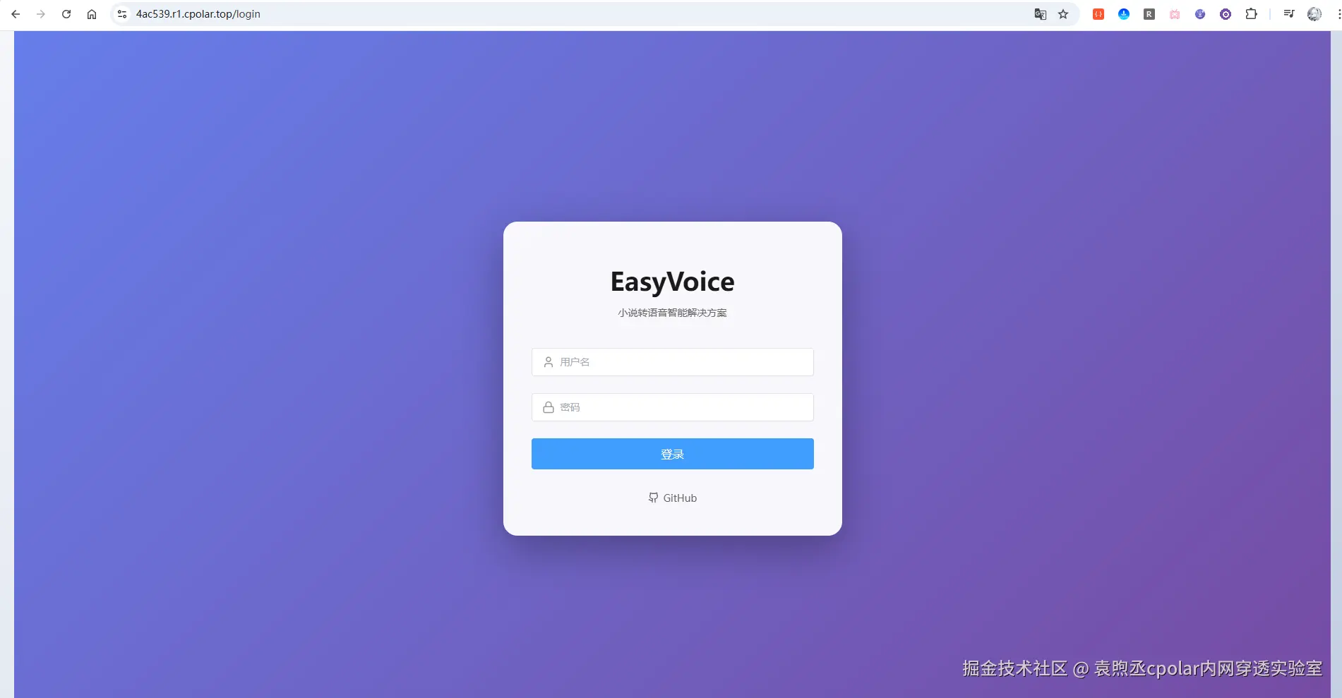 image-20251205174450457