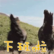 0131AD1C.gif