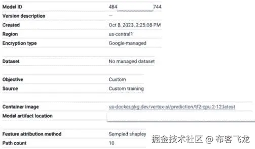 图 13.3：Vertex AI 模型注册表中的模型版本元数据
