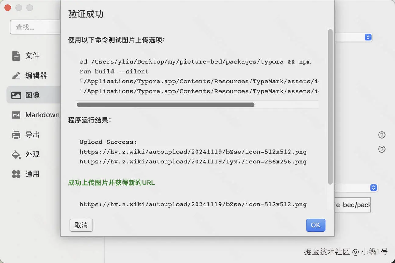 image-20241119133752427