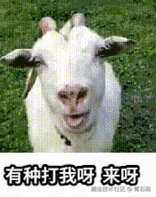 有种打我呀 来呀