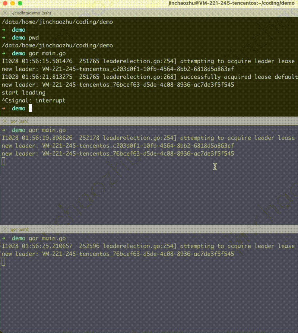 k8s选主.gif