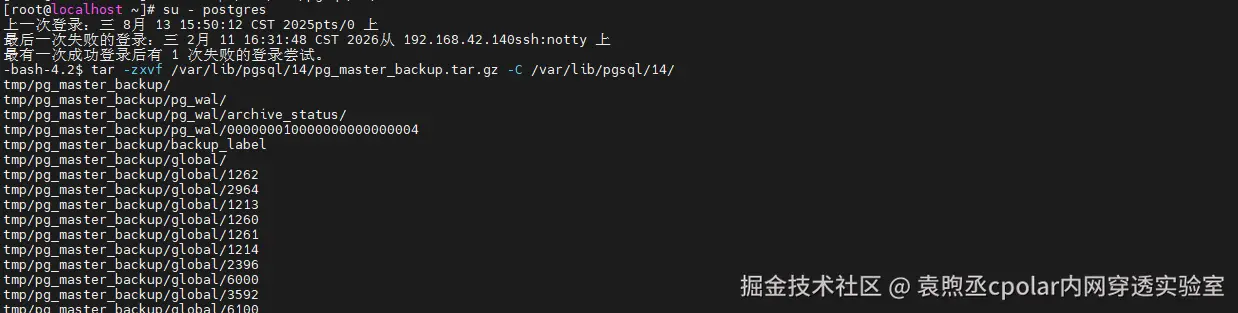 image-20260212144140848