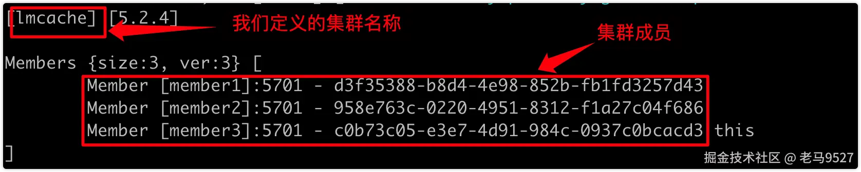 image-20230720145654259