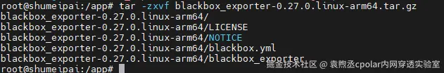 image-20251111165607205