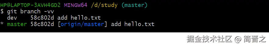 查看本地分支与远程分支的关系